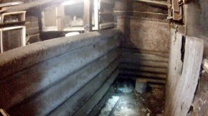 Нутрия , кормление,беременность  . 2 видео .