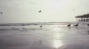 Джетли Мастер (1992).