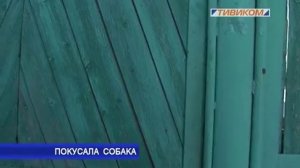 Покусала собака