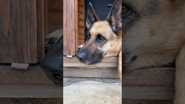 Мама спит она устала это я её достала ой мама спит она устала думаете будить не стала ￼