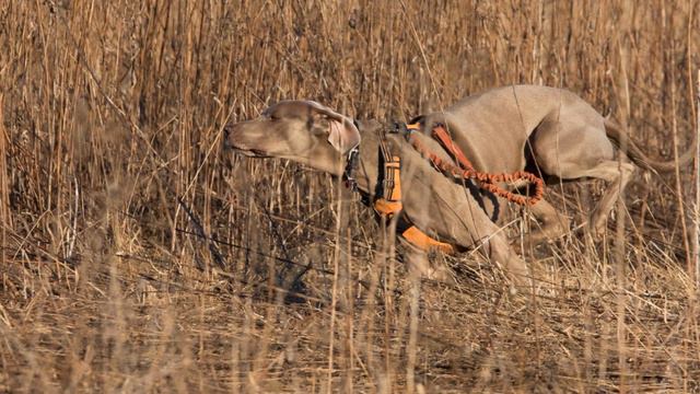 Title How to Proper смотреть онлайн