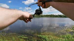 Снова на реке. Ловля леща на фидер