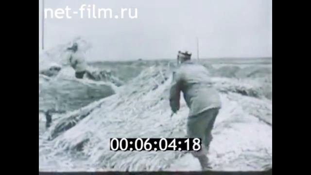 1976г. совхоз 