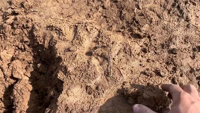 Нашли серебряный крест в Вербное воскресенье! Лучшая находка сезона! Тур от Серого Копателя. Тула 2