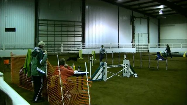 Draco (Doberman) - ABMC Agility Trial - 1/12/2013 (T2B) смотреть онлайн