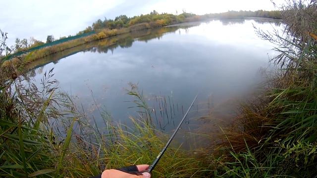 Рыбалка на спиннинг! Осенний щучий жор! смотреть онлайн