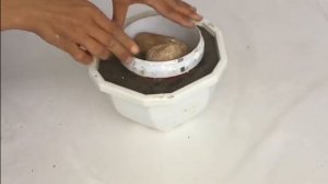 Кашпо из бетона своими руками