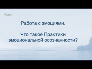 РАБОТА С ЭМОЦИЯМИ. ЧТО ТАКОЕ ПРАКТИКИ ЭМОЦИОНАЛЬНОЙ ОСОЗНАННОСТИ?