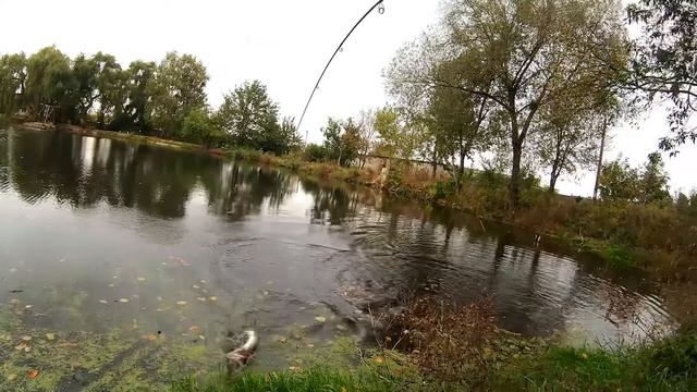 Ловля щуки на меляке. Оснастка для силикона Instinkt Stinger WDH (M) 6” смотреть онлайн