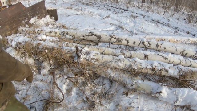 ДТ 75  ВСЁ ЕЩЁ В СТРОЮ. Вывоз дров из леса.