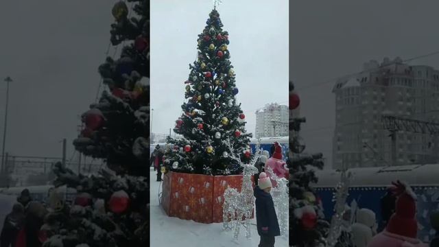 В заснеженный Волгоград приехал дедушка Мороз и его внучка Снегурочка 14.12.2022