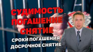 Судимость. Сроки погашения. Досрочное снятие судимости.