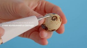 Скалер ультразвуковой AsiaCare - сэкономит на походах к стоматологу