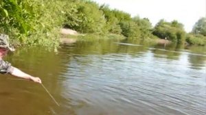 Охота на сома в Рыбкино