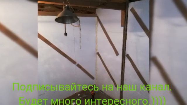 Тёплый курятник для перепелов за 10 тысяч рублей.