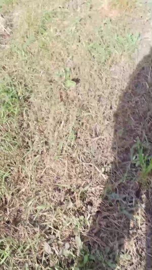 ьидëм домой к др