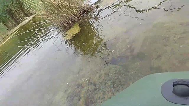 #рыбалка#отдых#путишествие#Балхаш#Коскумбез#Или#Змеголов#карась#сазан Рыбалка на протоках реки Или. смотреть онлайн