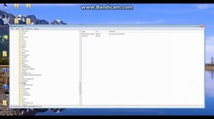 Как приручить кролика в террарии