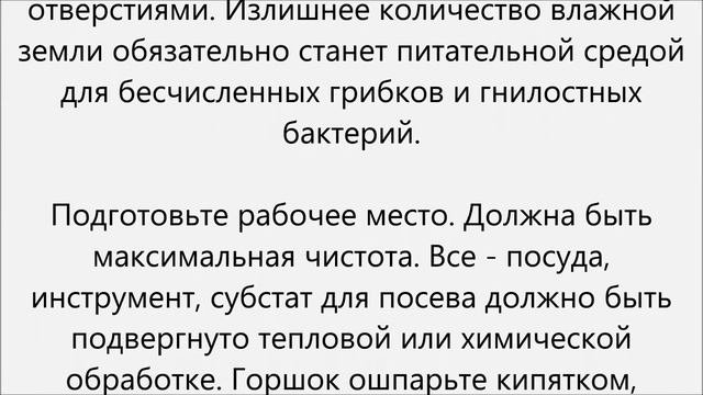 Как вырастить кактус
