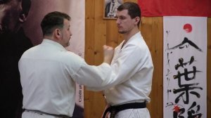 WA BUDO 45 MIKHAIL KOKIN 8 DAN KIOKUSHIN KAI.mp4