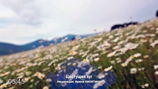 Медитация "Цветущий луг" | проводит Ирина Никитина