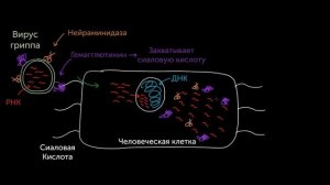 Когда грипп атакует!