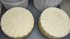 Готовим сыр Канестрато в домашних условиях