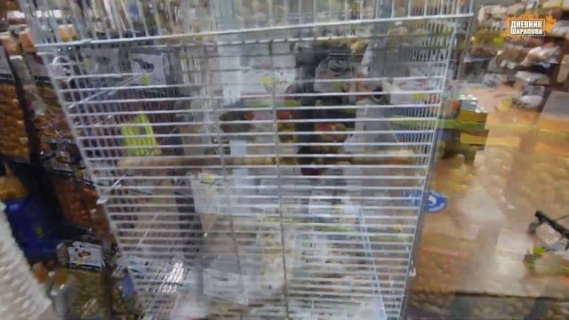 Обзор Кипр Айя Напа 2021 август / Cyprus Ayia Napa 2021 смотреть онлайн