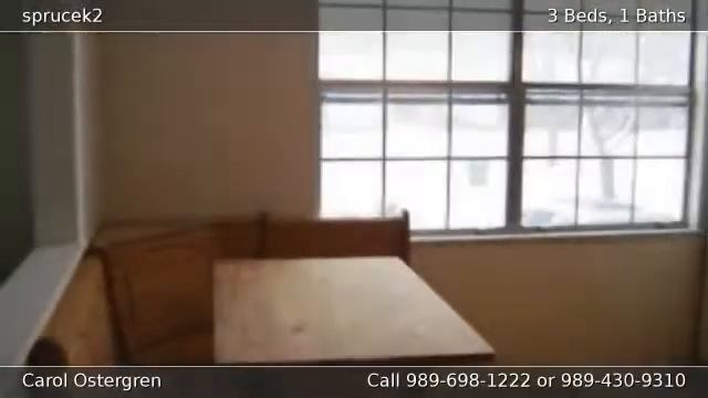 3014 Spruce Midland MI смотреть онлайн