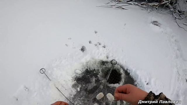 КАРАСИ-МОНСТРЫ ТОПЯТ ПОПЛАВКИ! КЛЁВ ТАКОЙ, ЧТО НЕ УСПЕВАЮ ОПУСКАТЬ СНАСТИ.Рыбалка на ХАПУГУ-ХЛОПОК.