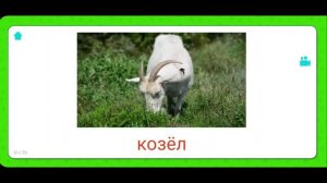 Карточки Домана для самых маленьких. Домашние животные