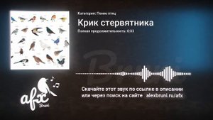 Звук: Крик стервятника