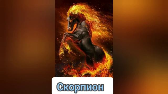 Какой ты знаку зодиака Животных? смотреть онлайн