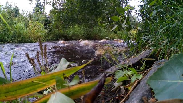 Отдых и релаксация под звуки воды.Сон.Медитация.Природа Карелии. смотреть онлайн