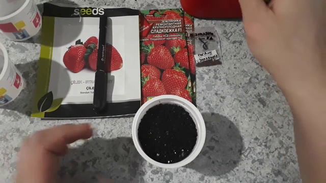 Земляника садовая. Сеем семенами. смотреть онлайн