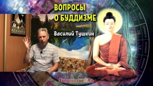 Вопросы о буддизме - Василий Тушкин