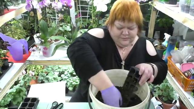 неукорененка февраль 1 смотреть онлайн