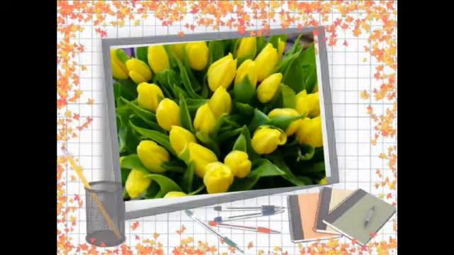 Диктант по теме Ь смотреть онлайн