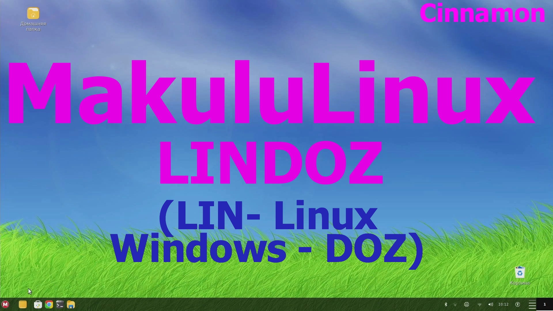 Дистрибутив MakuluLinux LINDOZ (Cinnamon) (Установка, обновление и первый взгляд) (Март 2021)