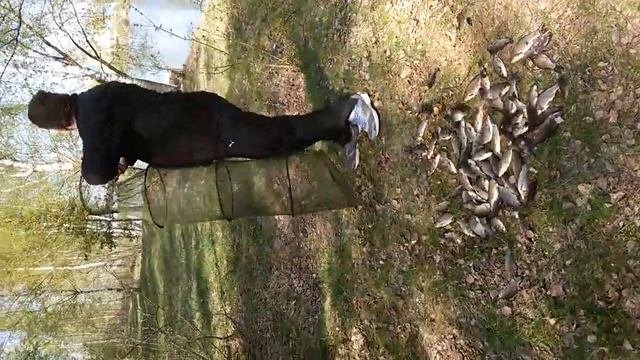 Ловля карася ранней весной!