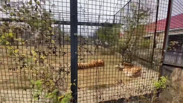 Мы вернулись в парк ! На моих каналах НИКОГДА не будет грязи ! смотреть онлайн