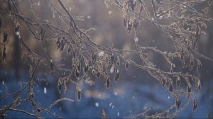 Dj Badan feat. Jama - Vizhu Tebya (Bryan Milton remix)