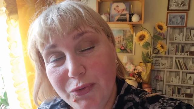 Возмущаюсь: из посёлка попасть в город не всегда удаётся!