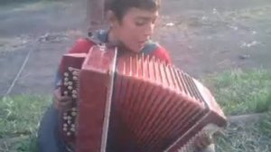 играет на боян