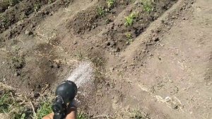 Система полива огорода