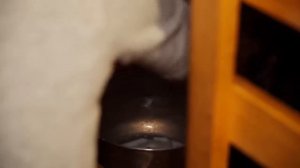 ЖИЗНЬ НА ВЫСЕЛКАХ _ ВОССТАНАВЛИВАЕМ СТАРЫЙ ДОМ ДЛЯ ЖИЗНИ _ БОРЩ С ДОМАШНИМ САЛОМ _ ГРОЗА