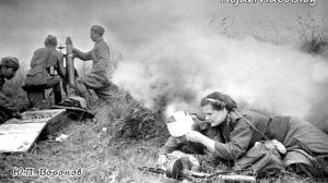 Стих - Ю.П. Воронов - В блокадных днях мы так и не узнали...