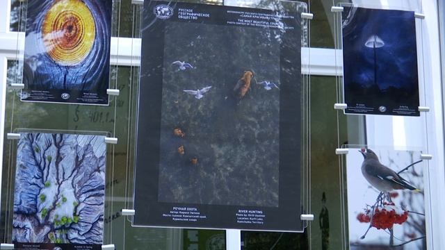 Репортаж День Географа // 4 канал смотреть онлайн