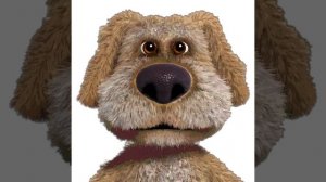 Шуточная фаза для всех