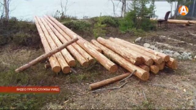 За срубленное дерево – лишение свободы смотреть онлайн